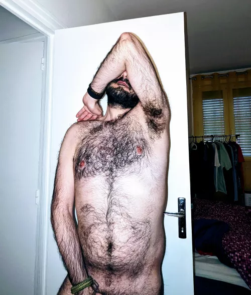 Pornographic chesthair.