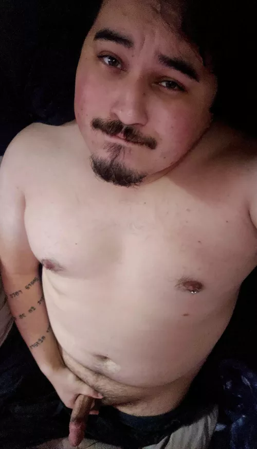 Wanna cuddle up and watch Dune?