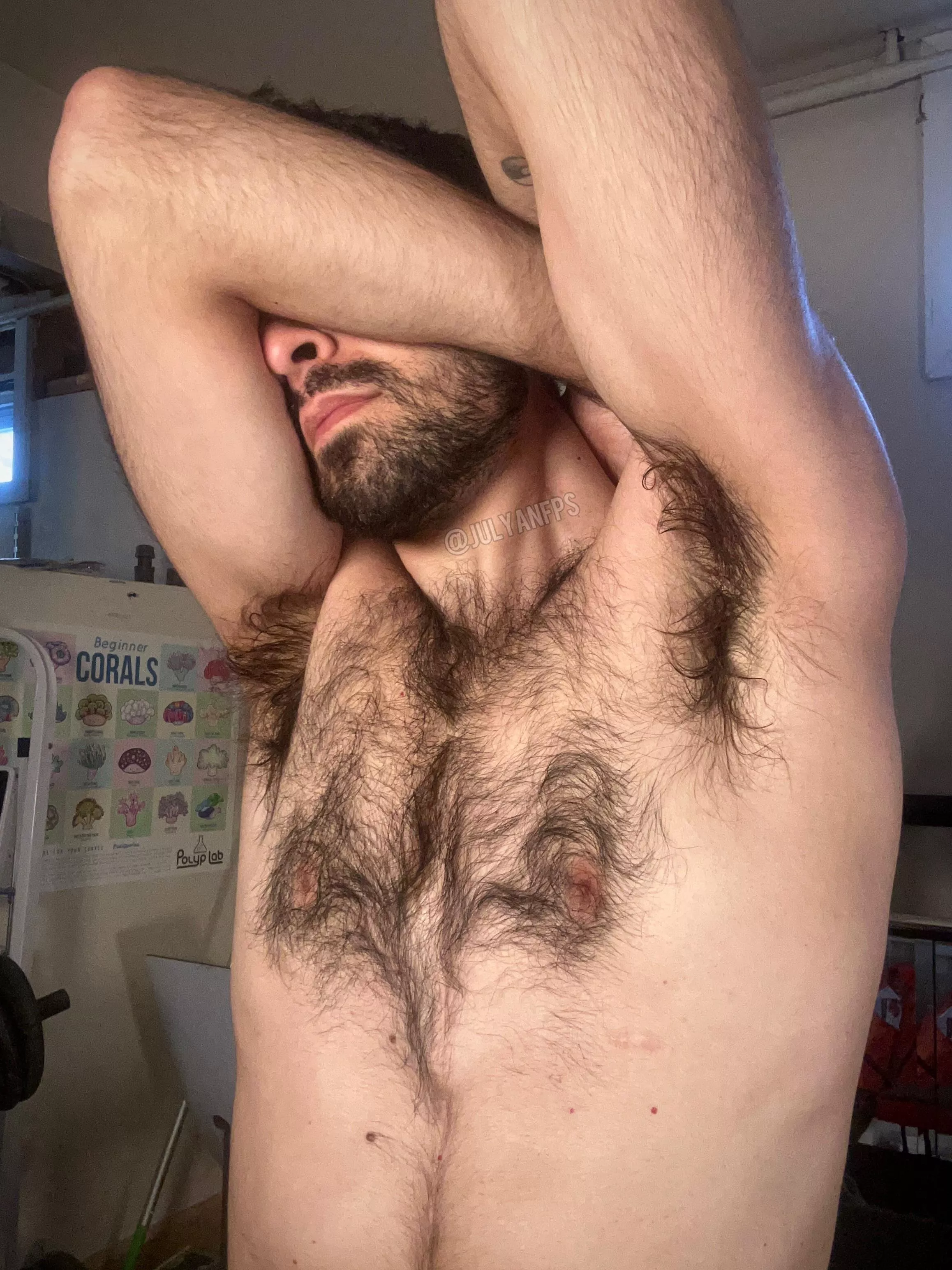 Where would you cum on me?