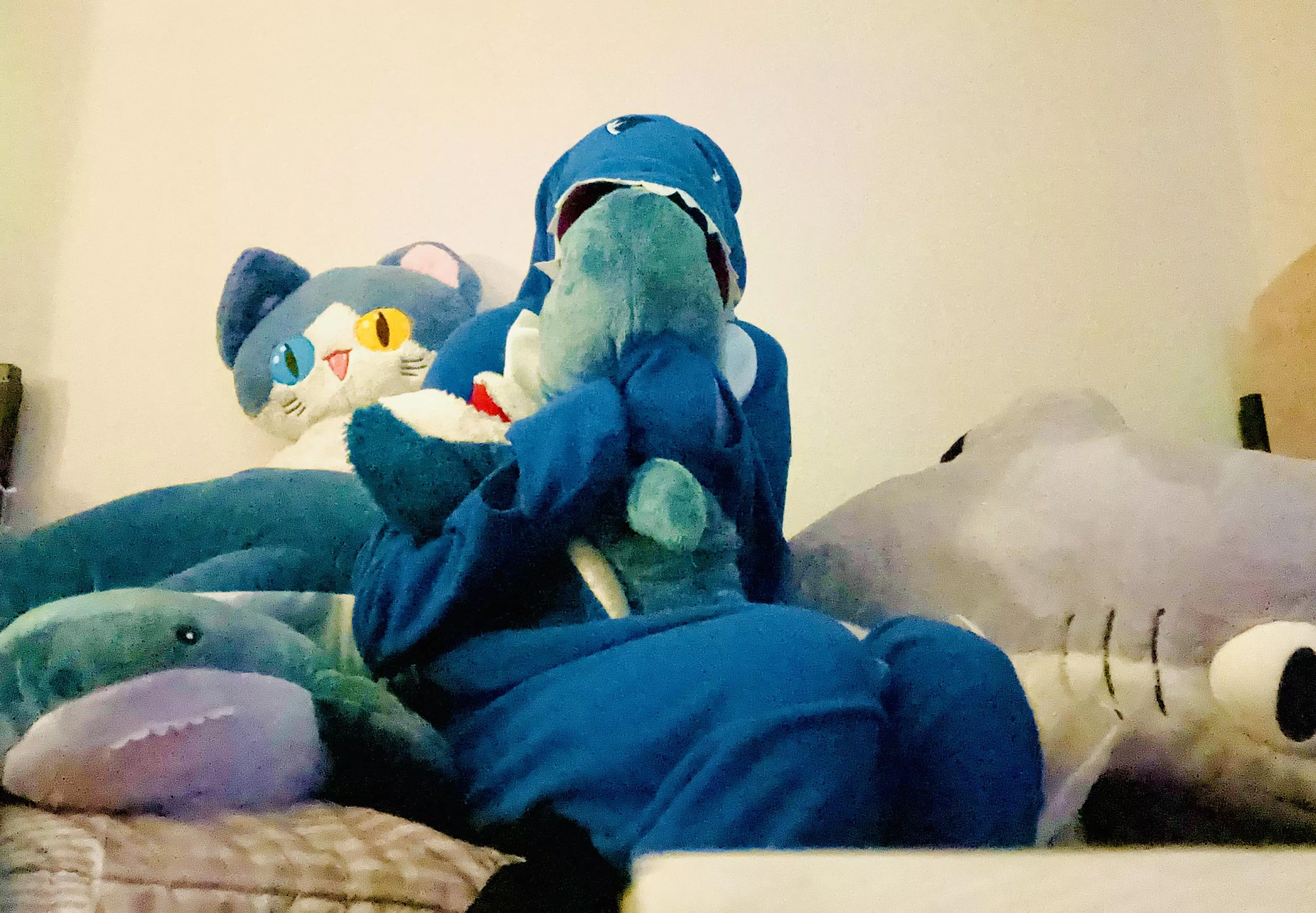 Who needs a SO when you’ve got a bed of sharks ~🦈