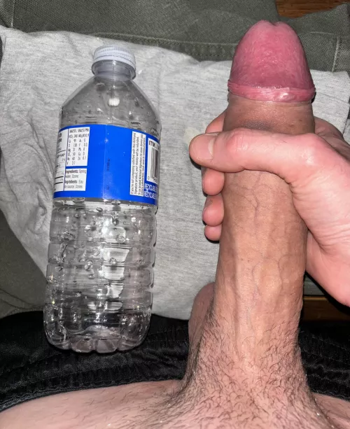 Would you let me breed you?