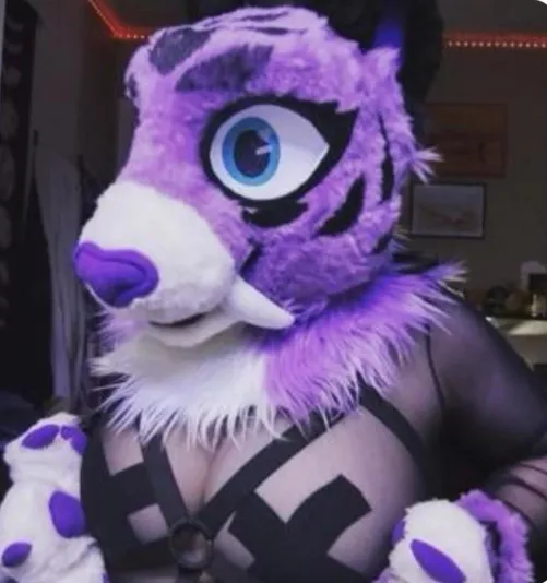 $2 titty pics $4 kitty pics