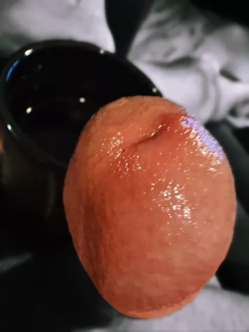 (53)Trace my head with your tongue and sit on it ? while I drink my coffee?