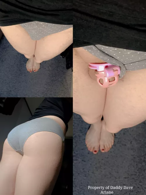 Ariane's mandatory morning verification.