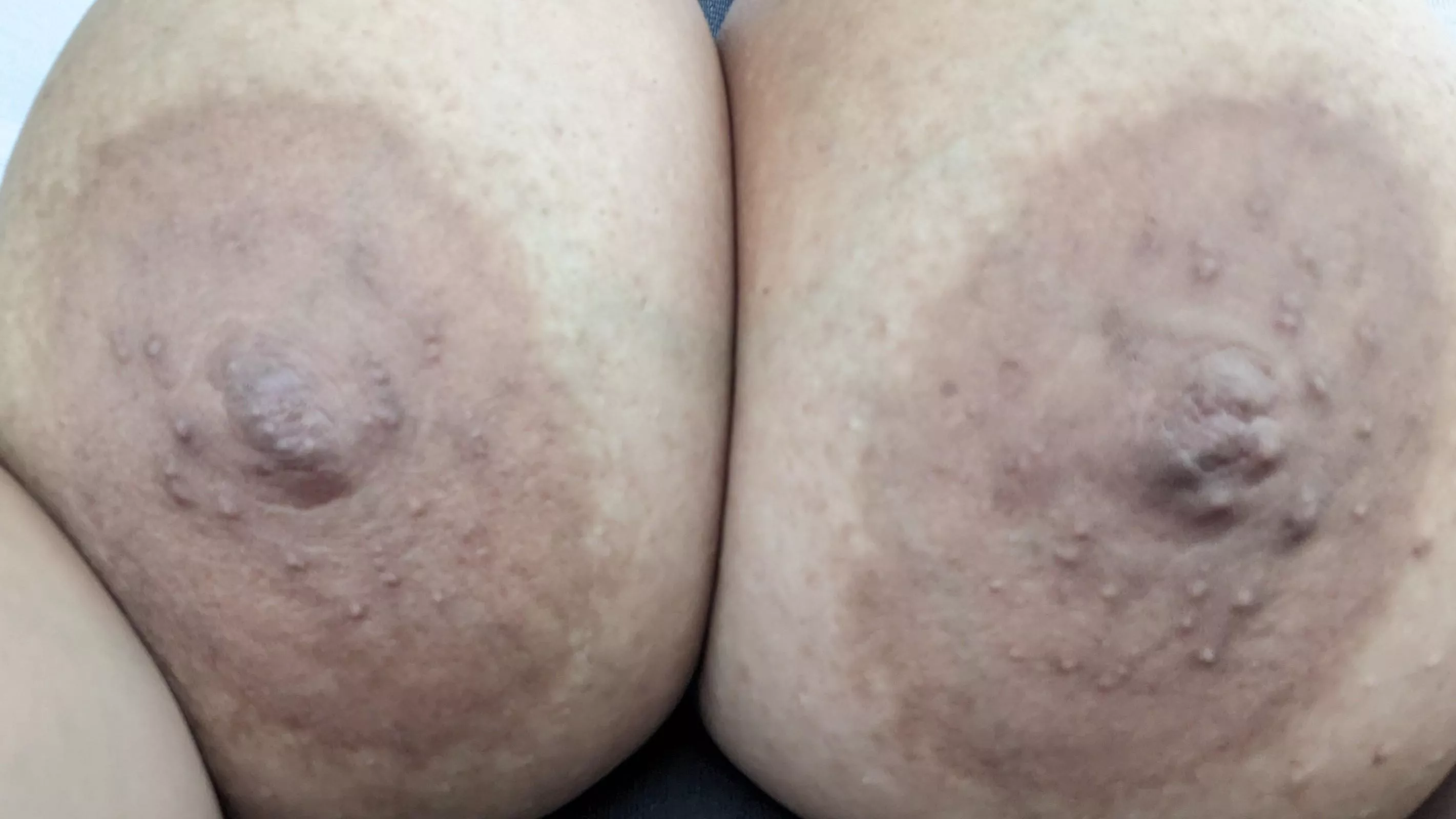 Big and brown and really close to the camera 