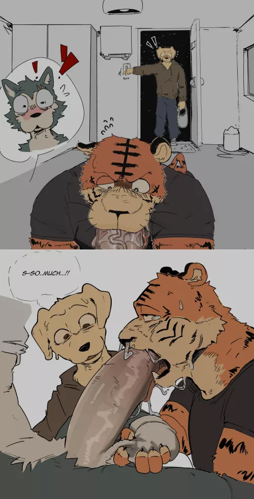 Boys Night In (akachi)