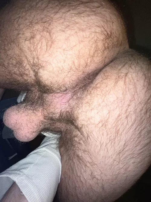 Can you drain these balls by fucking my ass?