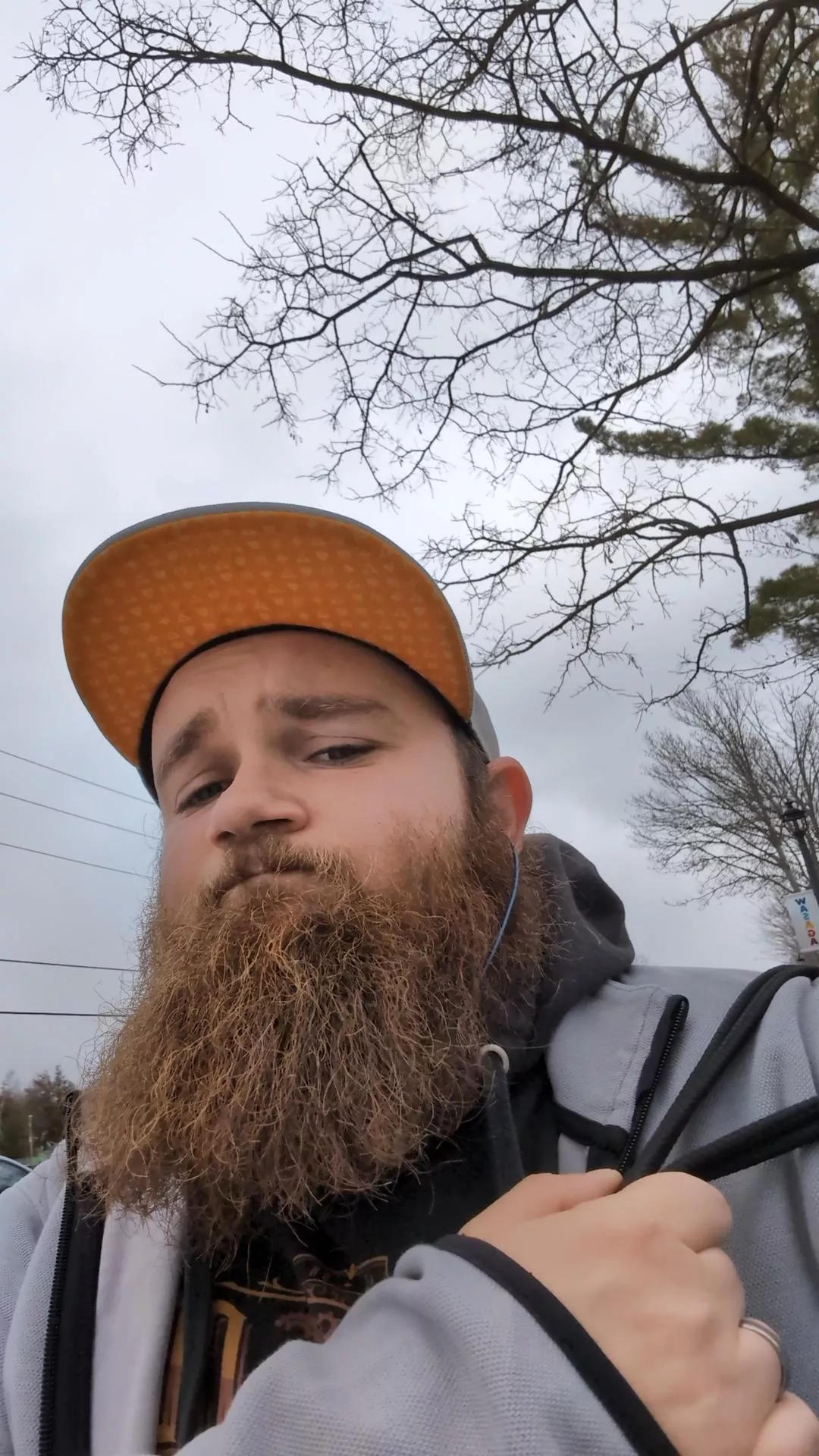 Caught a good angle on my walk to work 