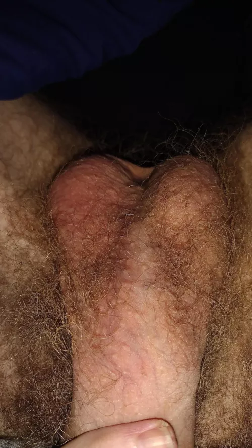 Clean my hairy ripe balls before I fuck you.