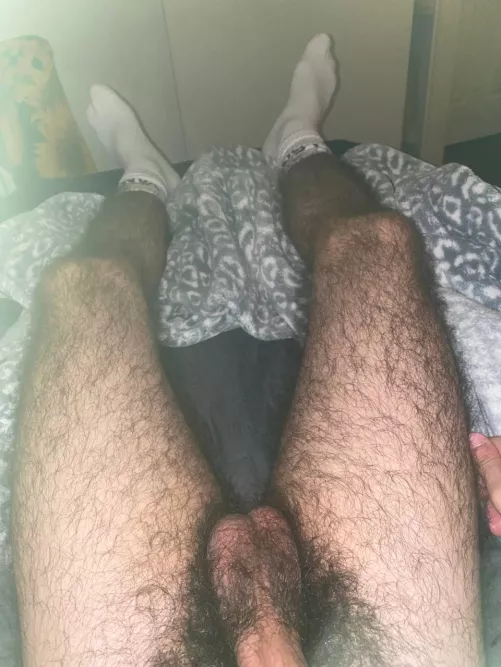 college otter here! any hairy men to chat :)?