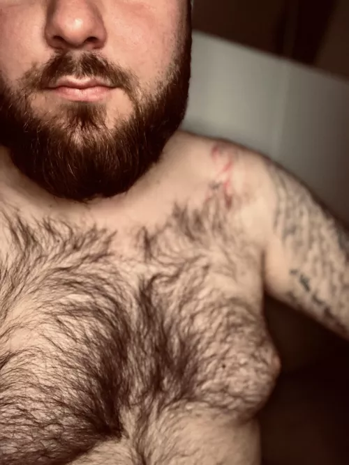 Come and feel safe with the bear 