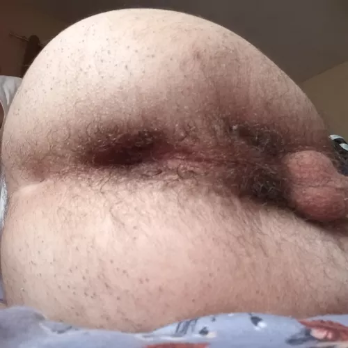 cum play with my hairy hole 