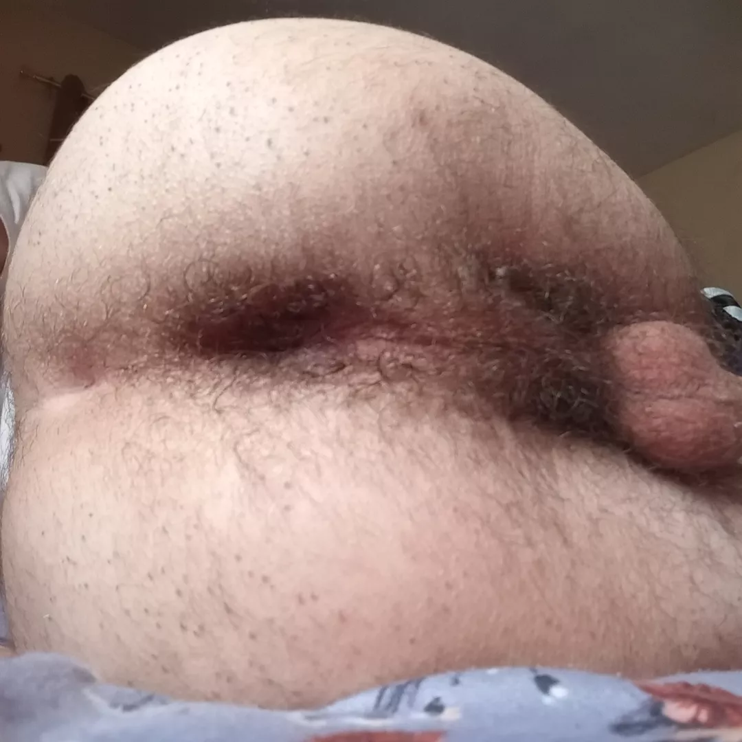 cum play with my hairy hole 