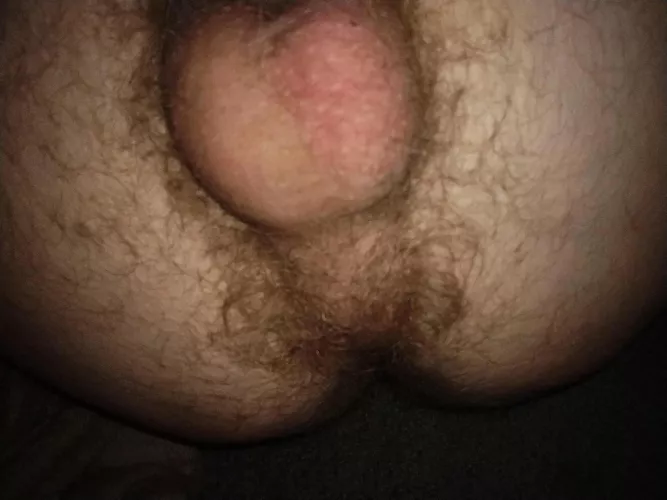 Do you like hairy alpha hole?