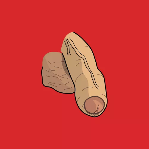 Floppy self portrait by me 