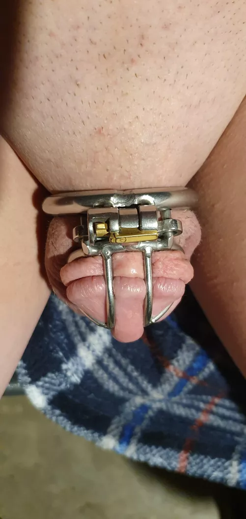 Her rules scare me a little 