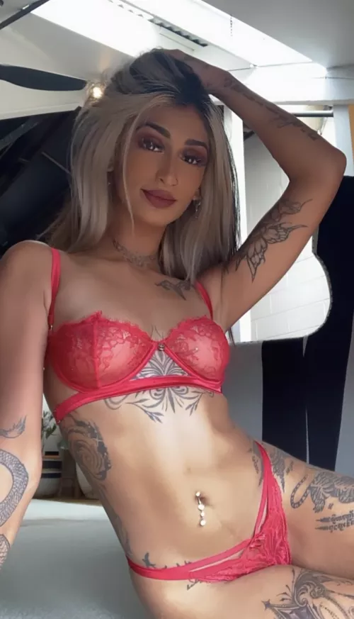 How many times a day would you fuck me?