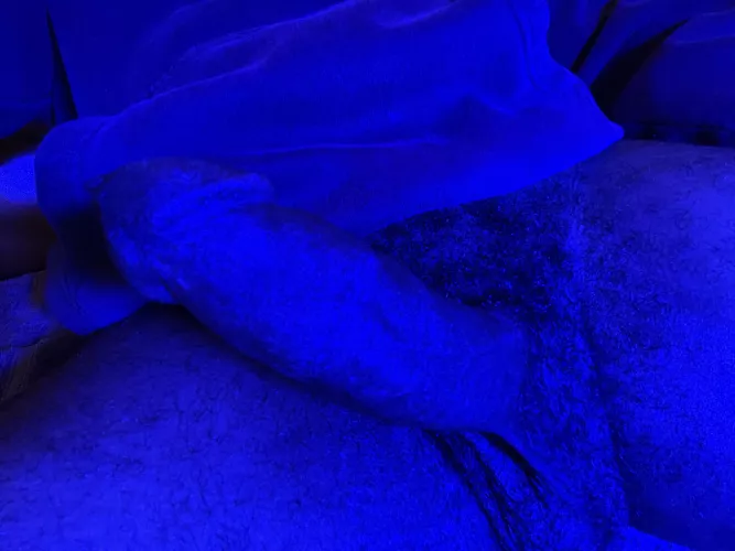 In our nation’s capital today, for the Cannabis Festival! Brought a couple friends to share the good times. 🖤