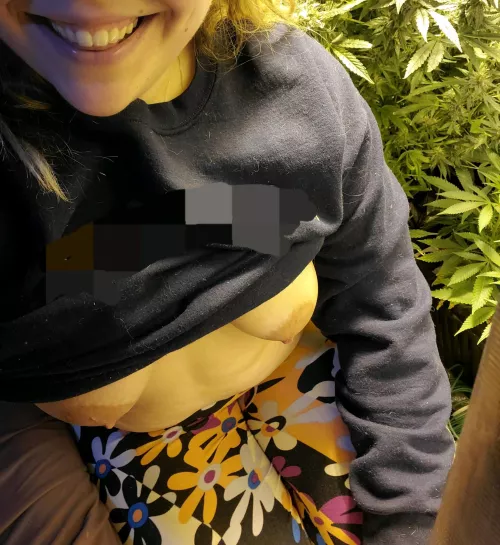 Its 420 whos smoking