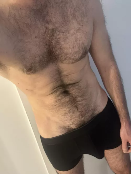 Lick my bulge