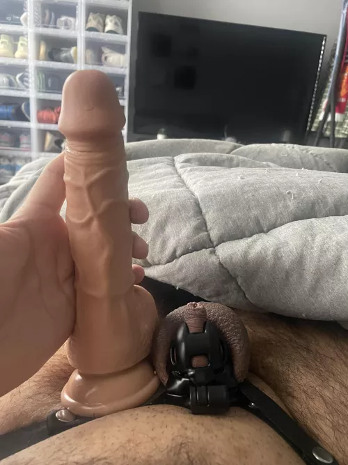 Me vs the cock my GF allows to fuck her pussy