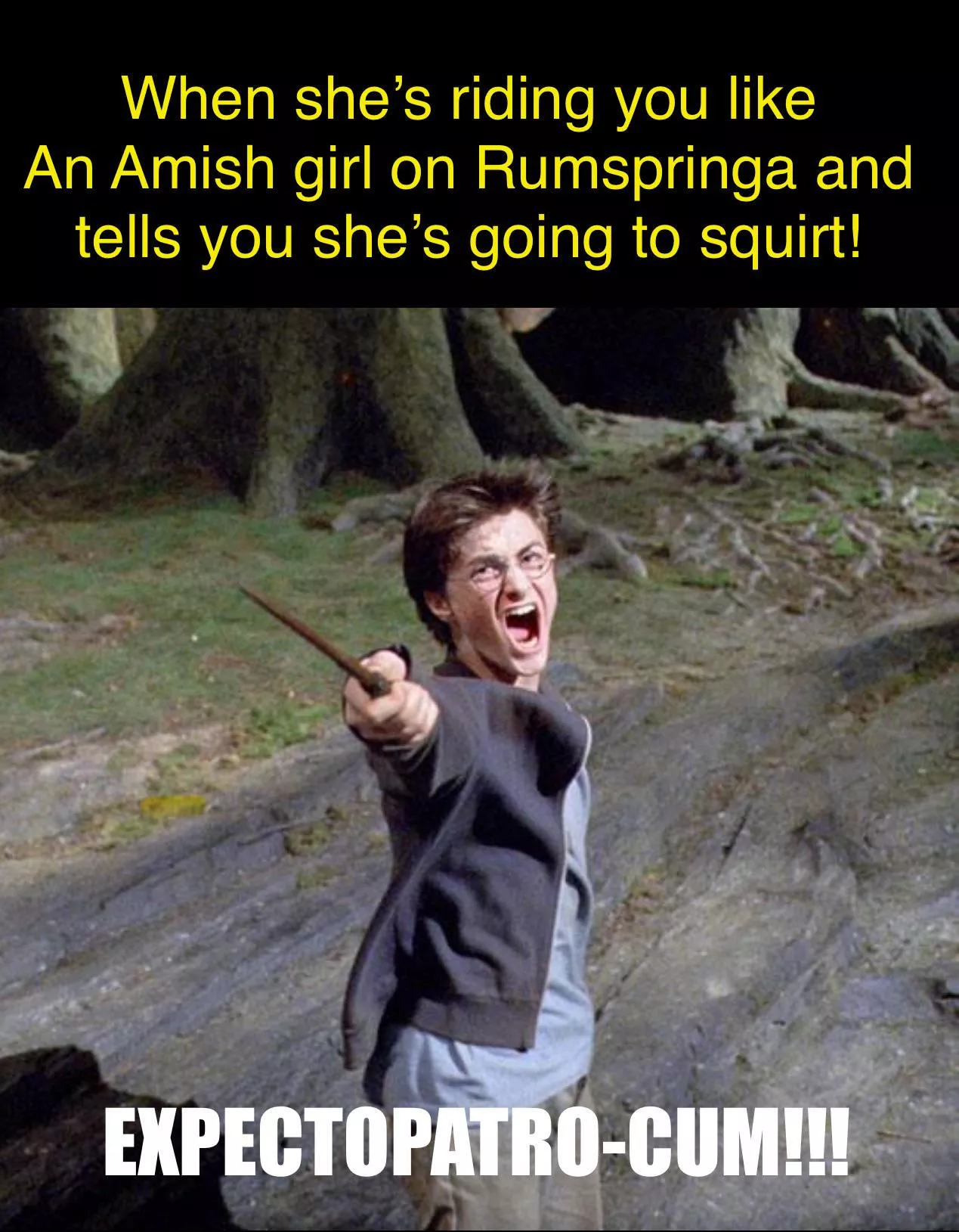 Mr. Potter… our new celebrity! 