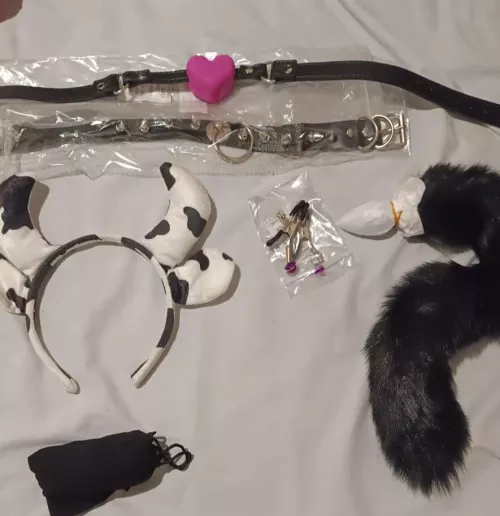 My newest toys 🐄 💜💜