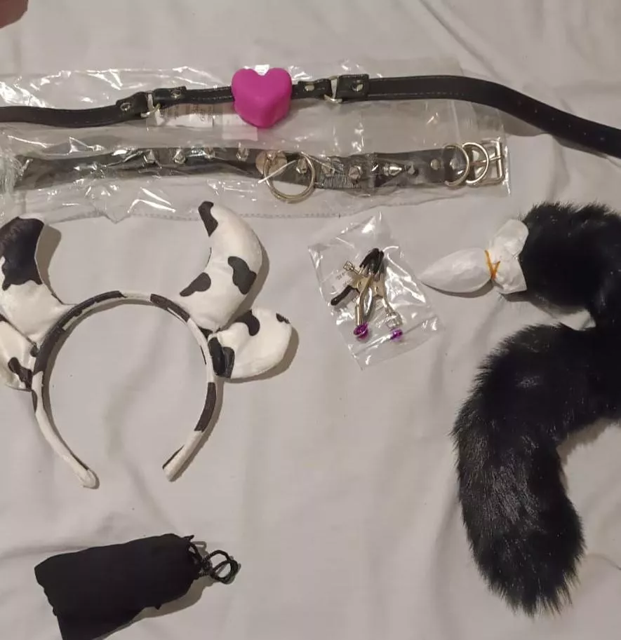 My newest toys 🐄 💜💜