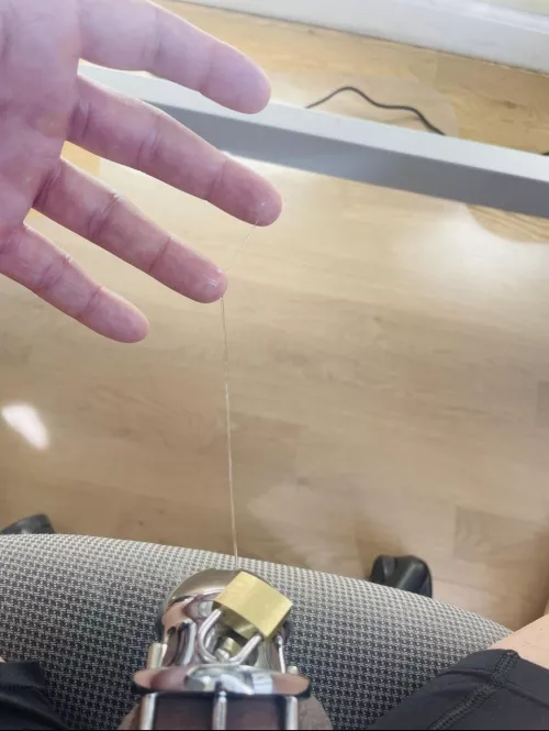 so wet in my cage. Won’t someone give me permission to take it off? 🥺