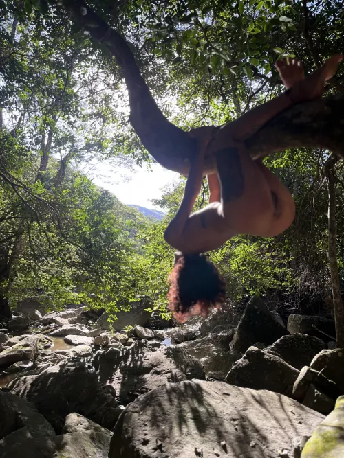 Take care of the forest and be kind