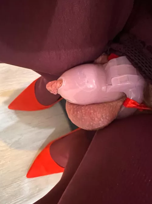 Tight how it should be