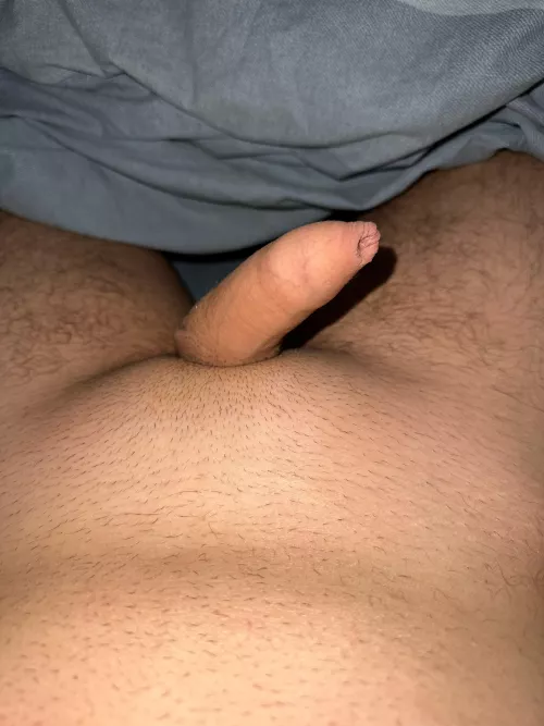 Tiny covered mushrooms 🍄‍🟫 