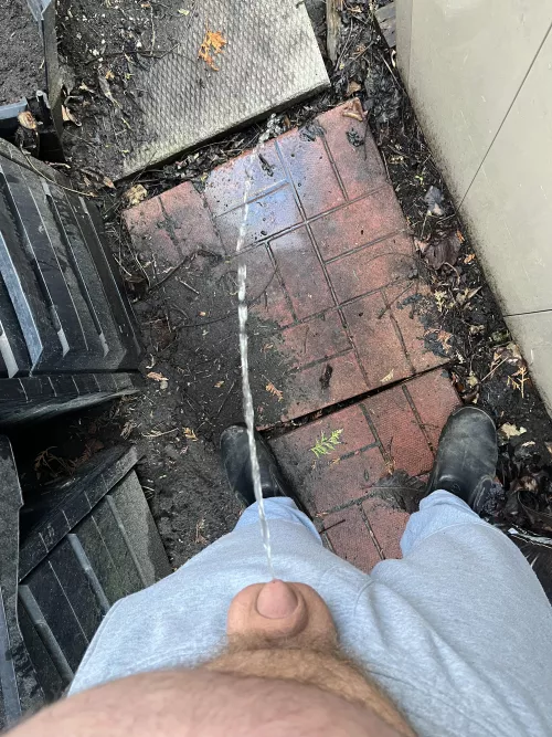 Unloading beers behind the shed