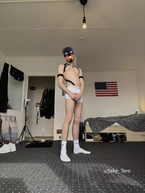 who wants some cuddles?