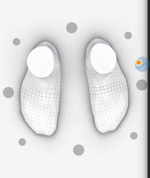 Any recs for super extra wide feet? 