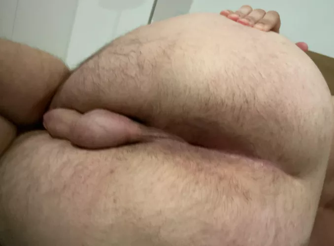 Anyone eat this ass?