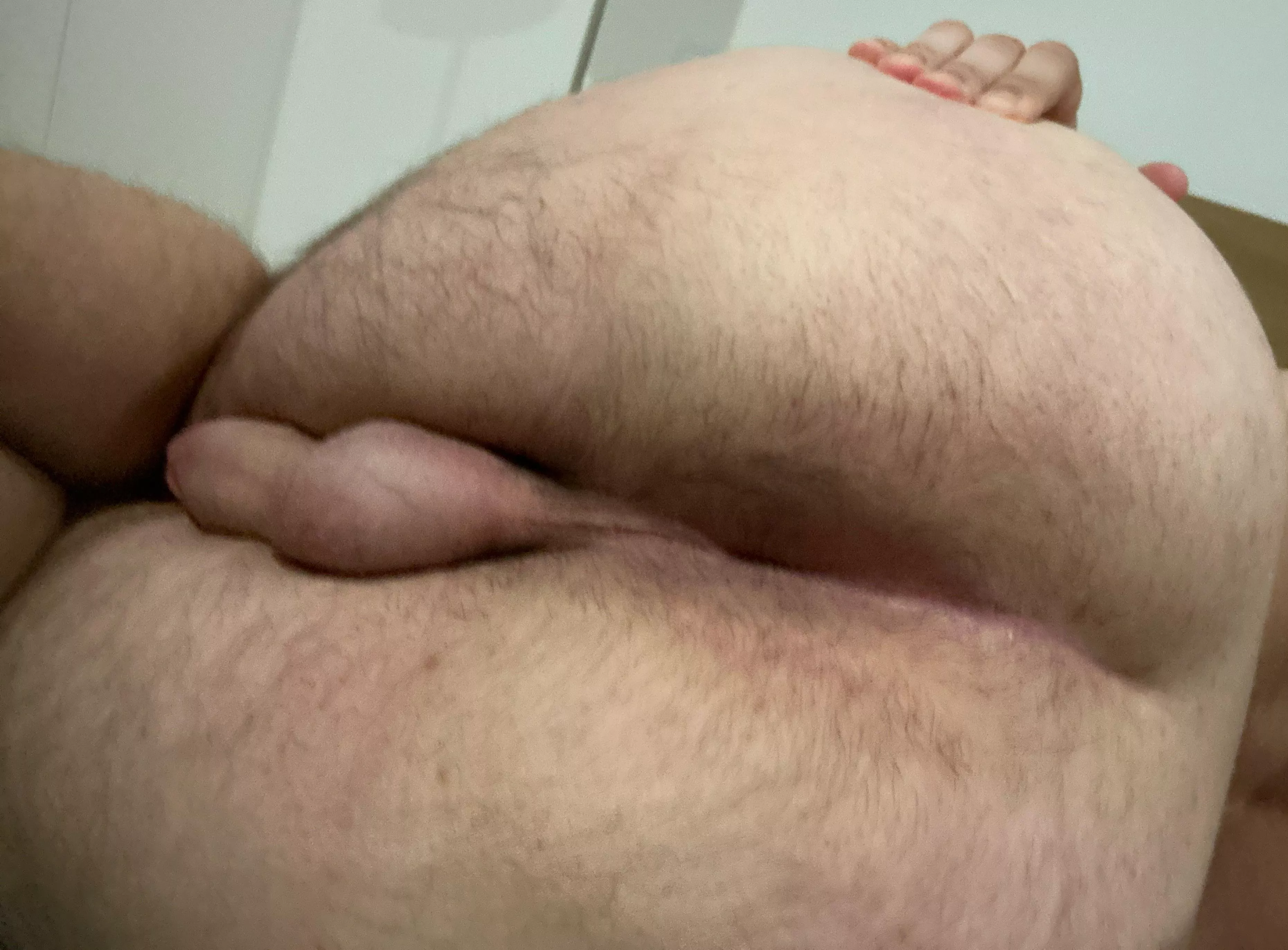 Anyone eat this ass?