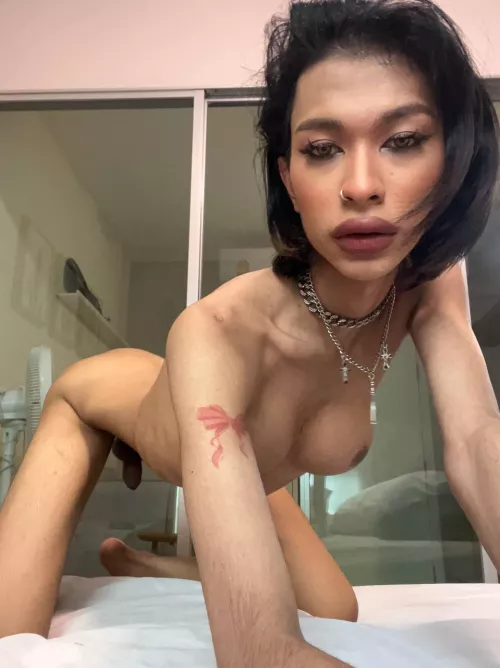 Are you open to the idea of being topped by a trans girl? If you are, simply say 'yes.'