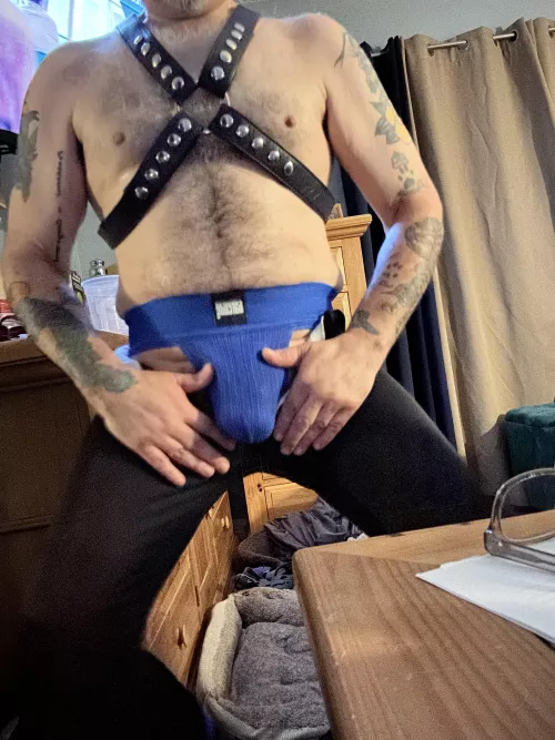 Barcode Berlin jocks! Love them. 