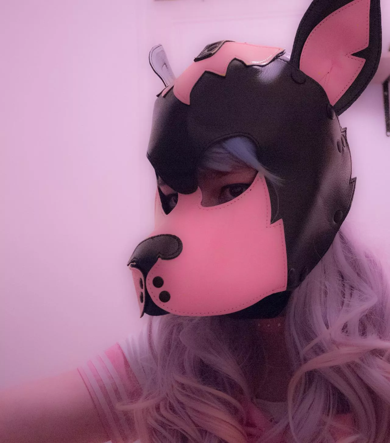 clumsy puppy looking for cuddles :3