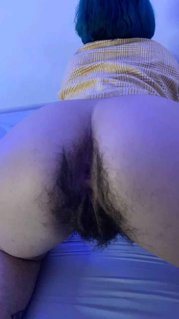 do you like the view? [h]