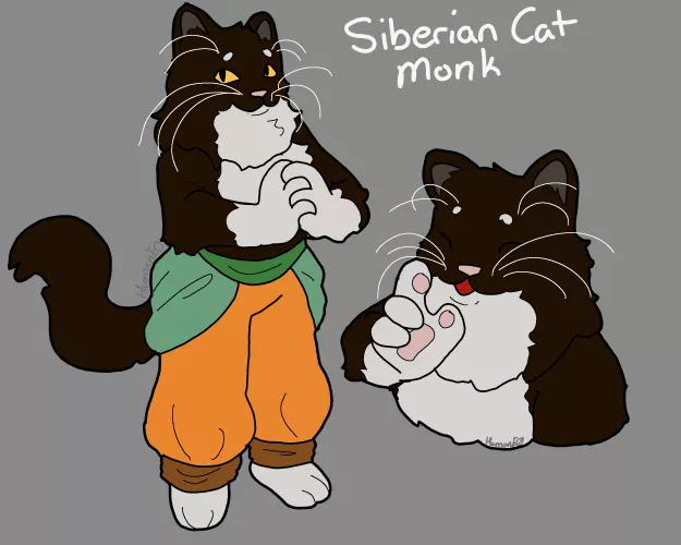 Fluffy monk meow meow