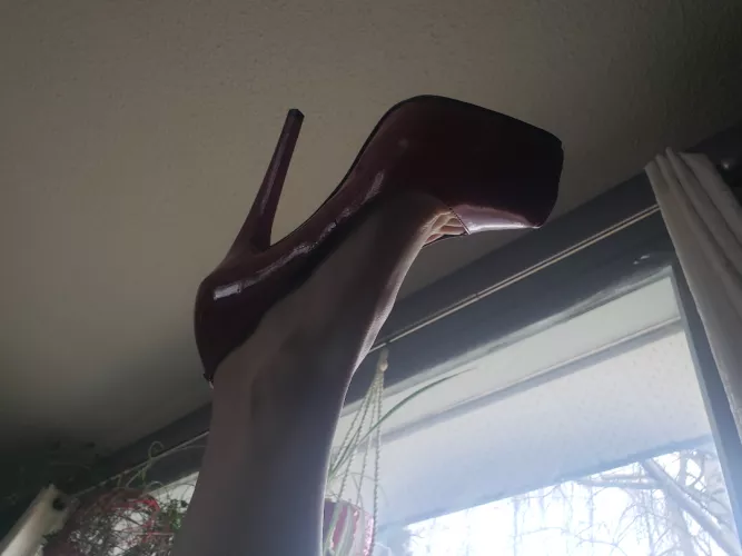 High in the air 🥰