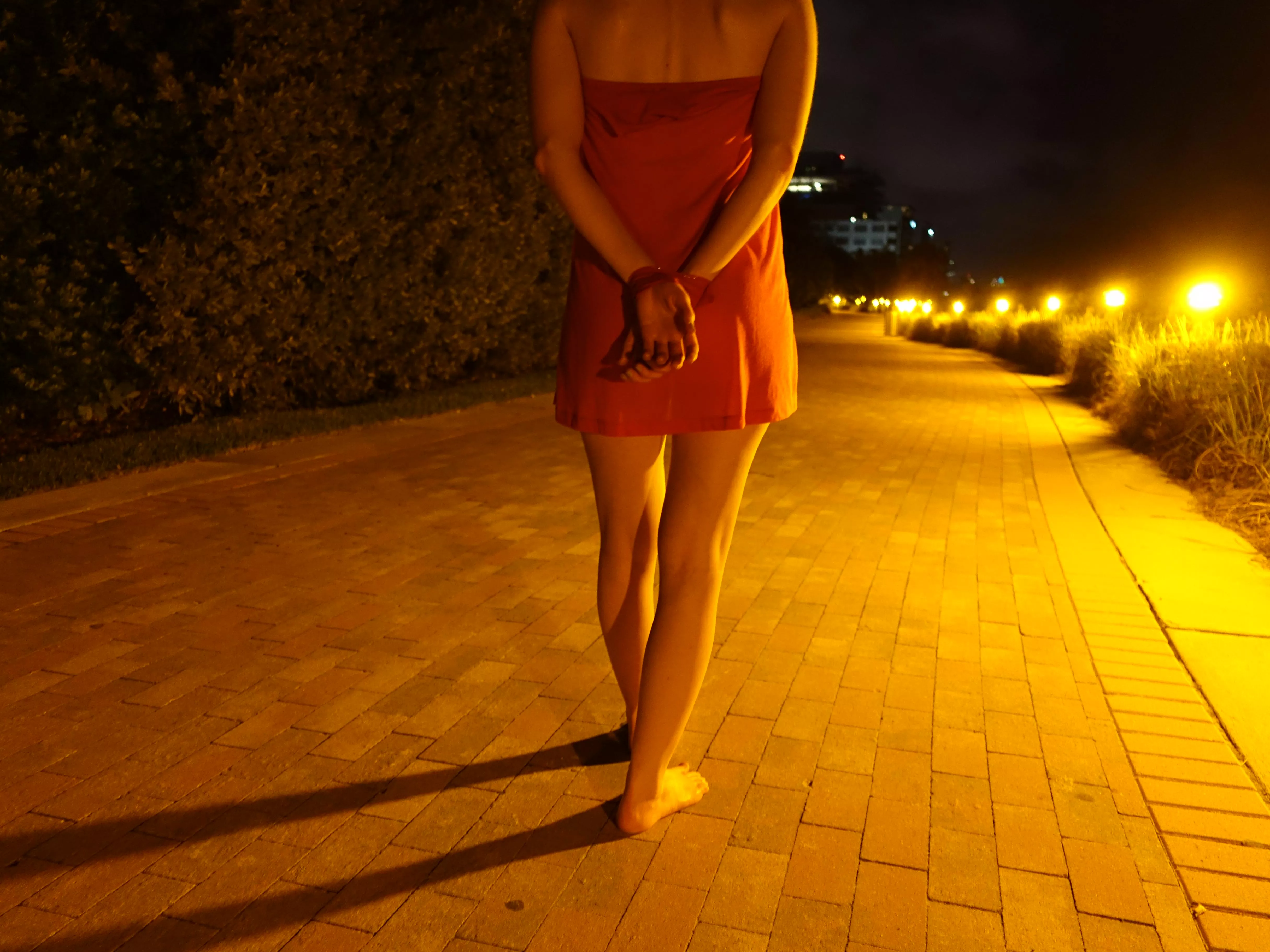 I like when my master takes me for a walk, hands tied in my back