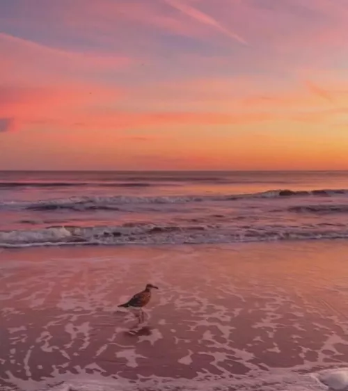 Just some photos from around where I live.