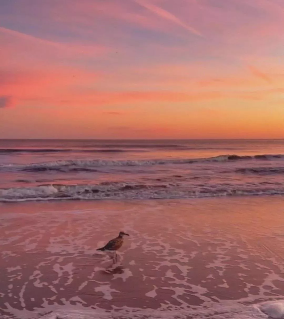 Just some photos from around where I live.