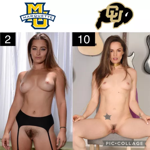 My Favorite Pornstars March Madness: Rd of 32: [Dani Daniels] vs [Tori Black]