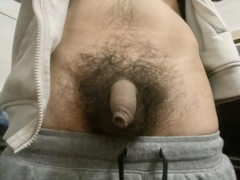 My hairy dick