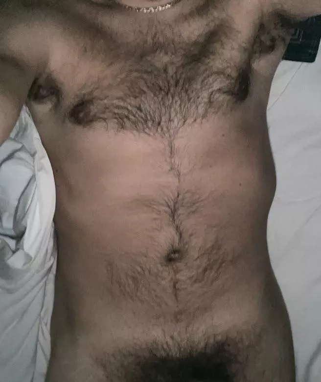 Never shaved or trimmed...