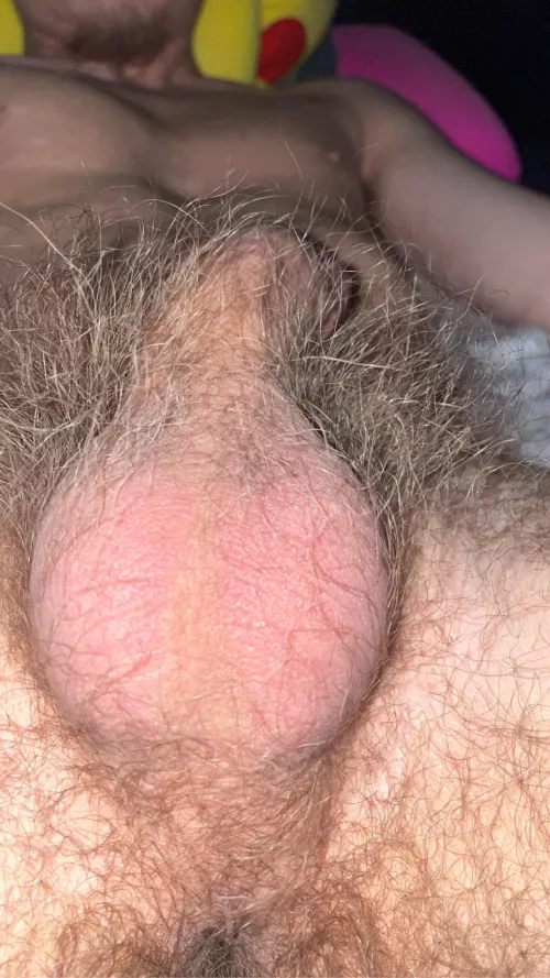 Never shaved? Should I?